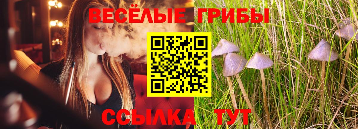 Галлюциногенные грибы Magic Shrooms Краснодар